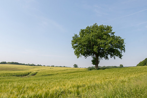 Vente terrain + maison POURRIERES Var