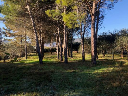 Vente terrain + maison FIGANIERES Var