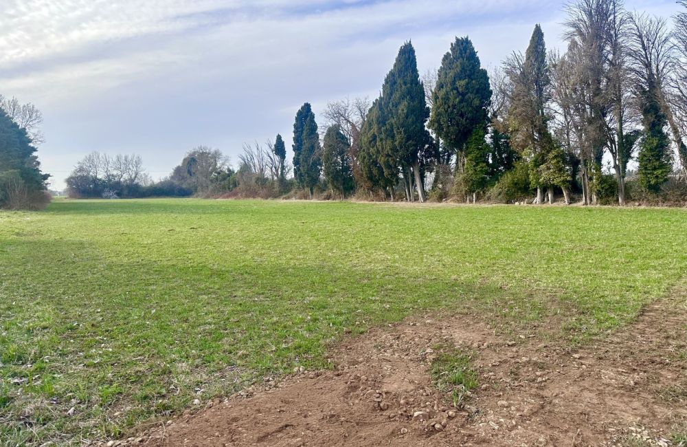 Vente terrain + maison SAINT-MARTIN-DE-CRAU Bouches-du-Rhône