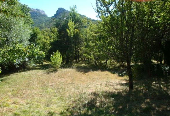 Vente terrain PLAN-D'AUPS-SAINTE-BAUME Var