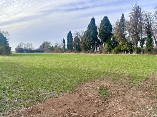 Vente terrain SAINT-MARTIN-DE-CRAU Bouches-du-Rhône