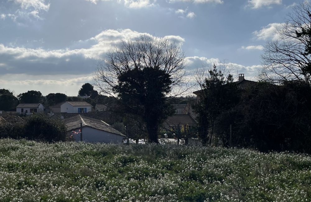 Vente terrain + maison SAINT-CANNAT Bouches-du-Rhône