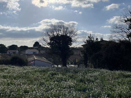 Vente terrain + maison SAINT-CANNAT Bouches-du-Rhône