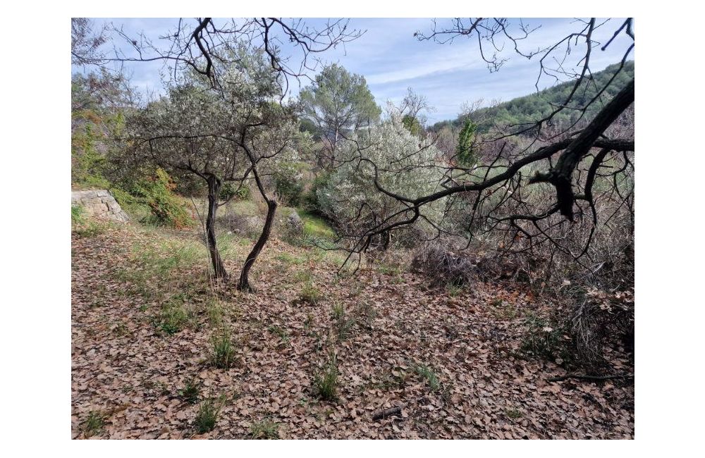 Vente terrain DRAGUIGNAN Var