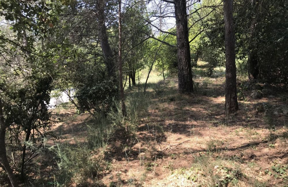 Vente terrain GRASSE Alpes-Maritimes