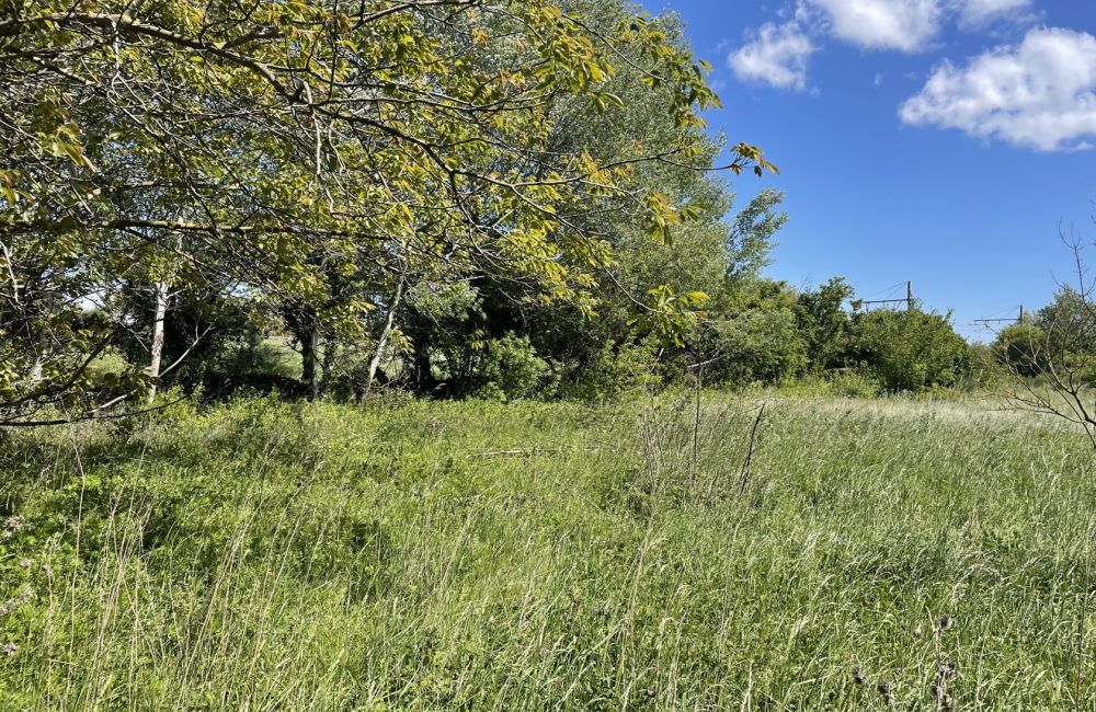 Vente terrain SENAS Bouches-du-Rhône