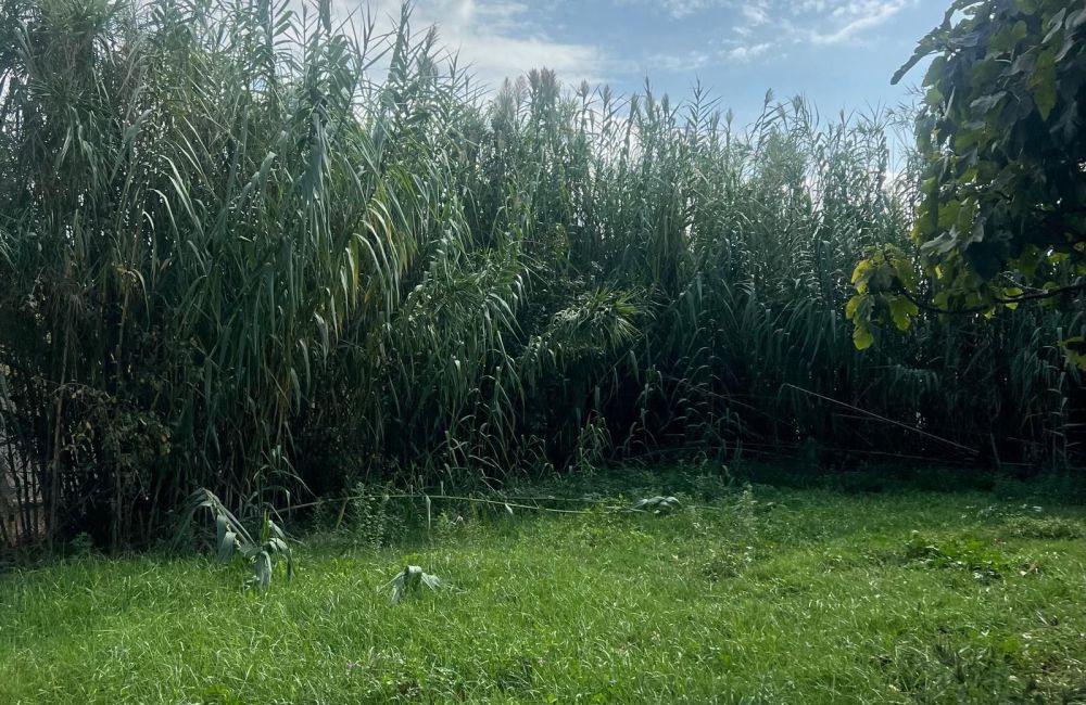 Vente terrain + maison VITROLLES Bouches-du-Rhône