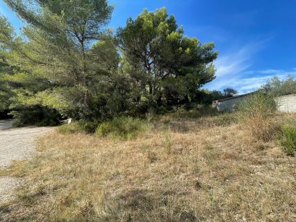 Vente terrain CADOLIVE Bouches-du-Rhône