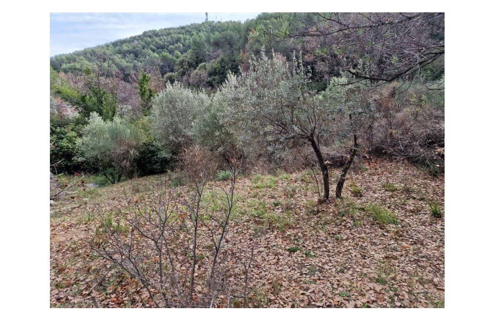 Vente terrain DRAGUIGNAN Var