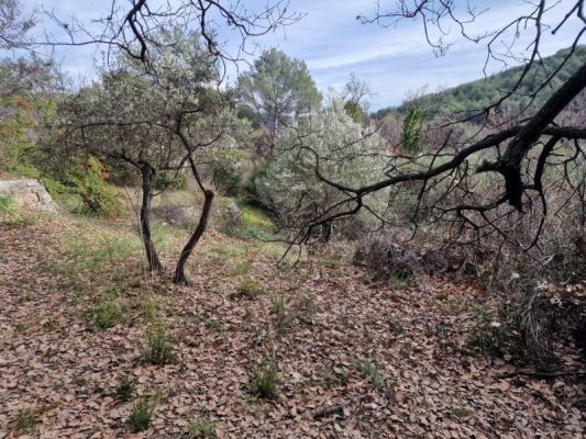 Vente terrain DRAGUIGNAN Var